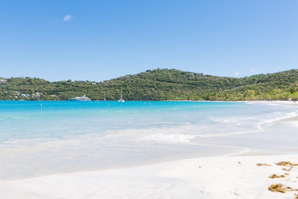 La Guía Definitiva para Descubrir Isla Contoy: Paraíso Secreto del Caribe Mexicano