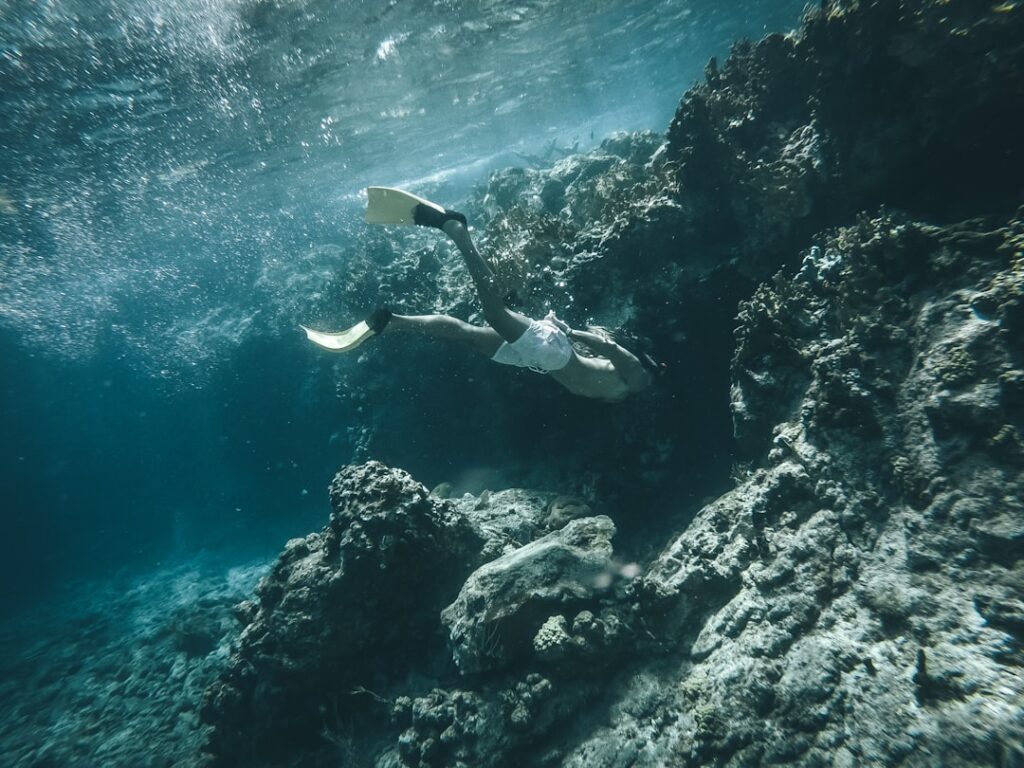 La Guía Definitiva para Hacer Snorkel en Cozumel y El Cielo y Vivir una Experiencia Inolvidable