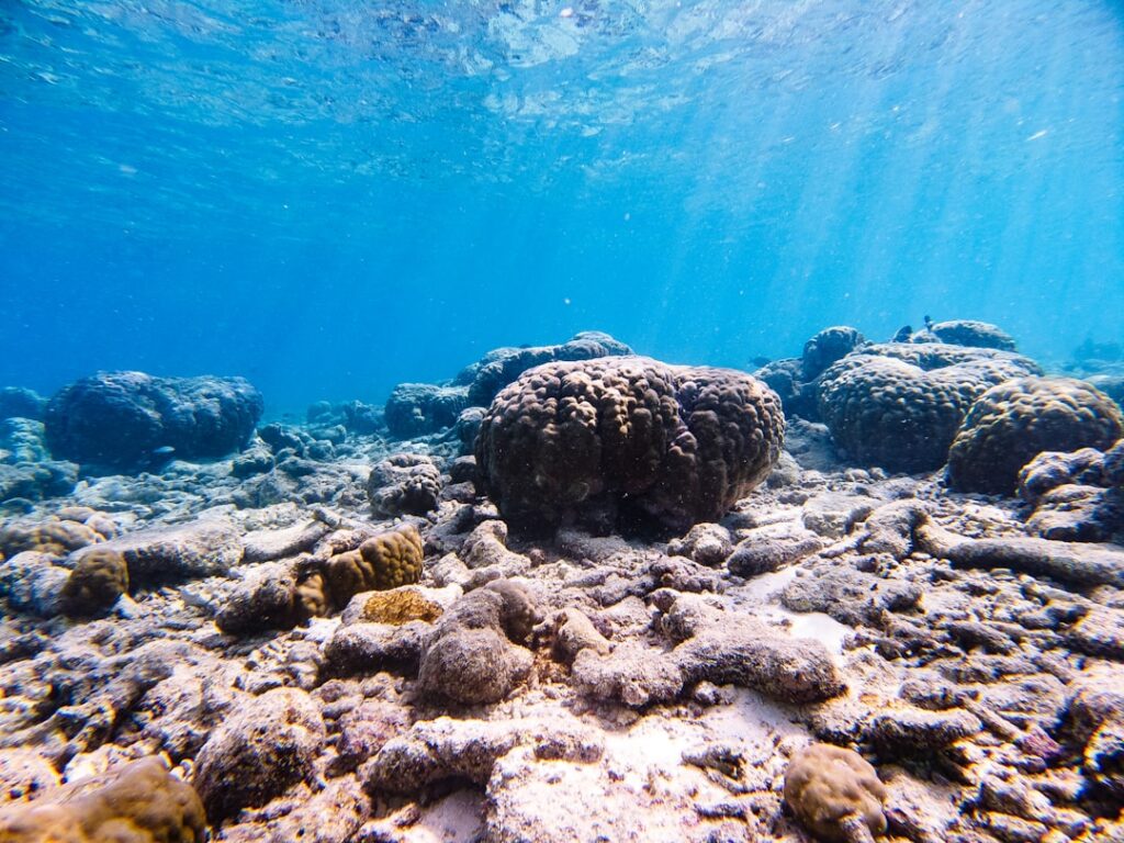 10 razones por las que Parque Xel-Ha es el paraíso que debes visitar en el Caribe Mexicano
