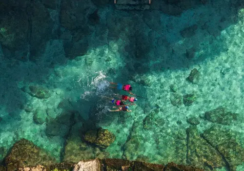 Xcaret Plus